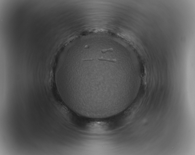 X0000089670748200707051548