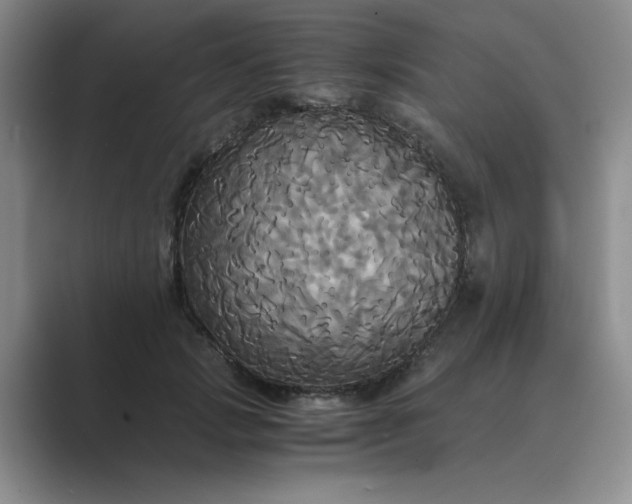 X0000089670749200707051548