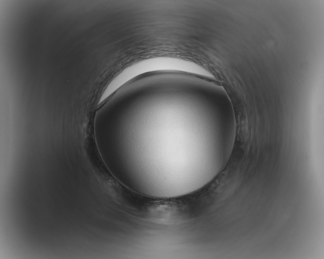 X0000089670750200707051548