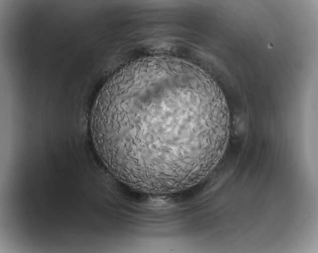 X0000089670753200707051548