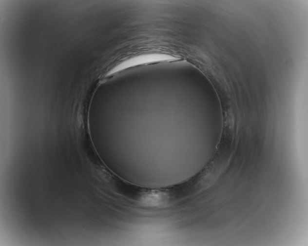 X0000089670754200707051548