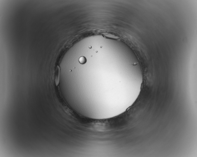 X0000089670756200707051548