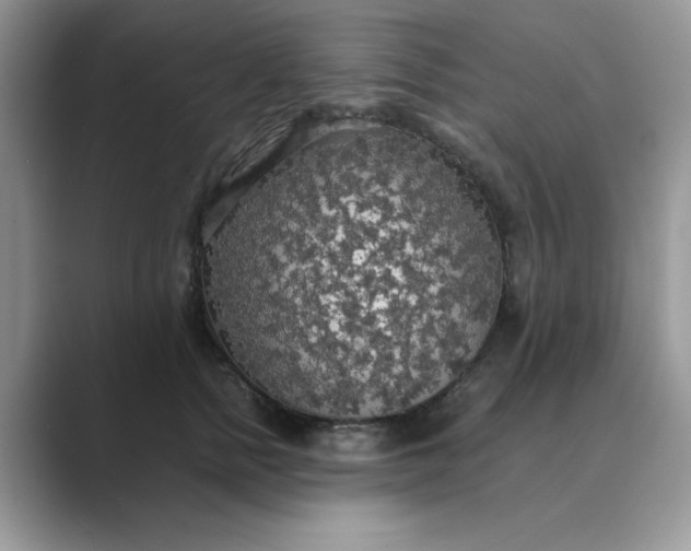X0000089670758200707051548