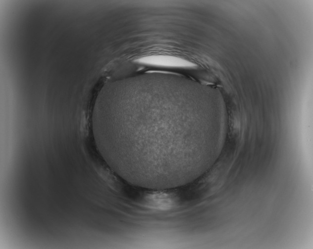 X0000089670759200707051548