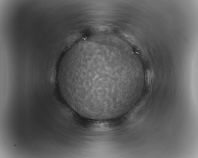 X0000089670760200707051548