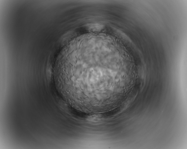 X0000089670761200707051548