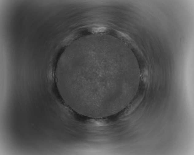 X0000089670763200707051548