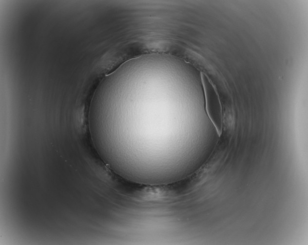 X0000089670764200707051548