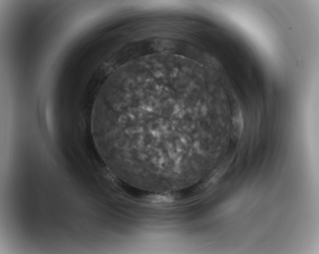 X0000089670765200707051548