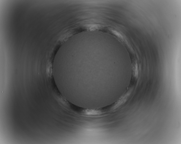 X0000089670766200707051548