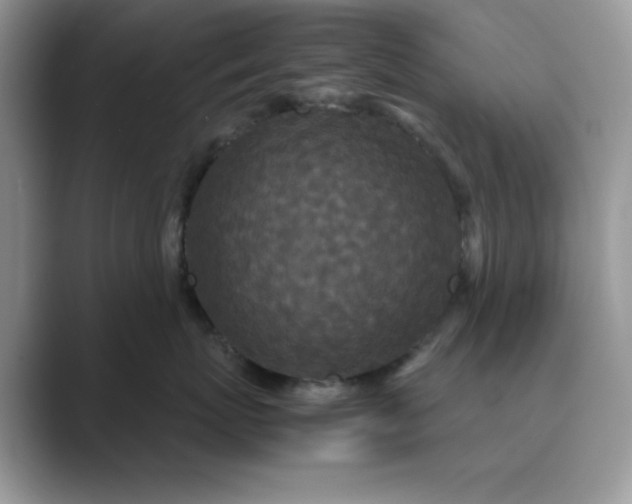 X0000089670767200707051548