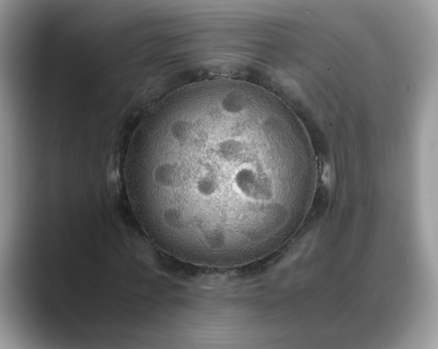 X0000089670771200707051547