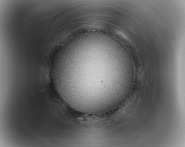 X0000089670774200707051547