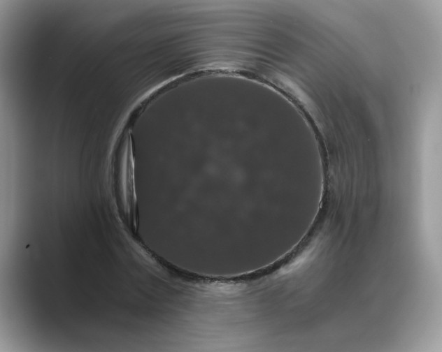 X0000089670779200707051547