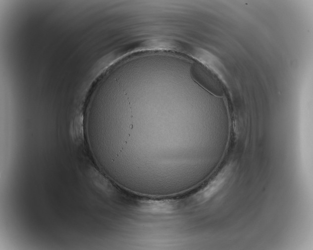 X0000089670781200707051547