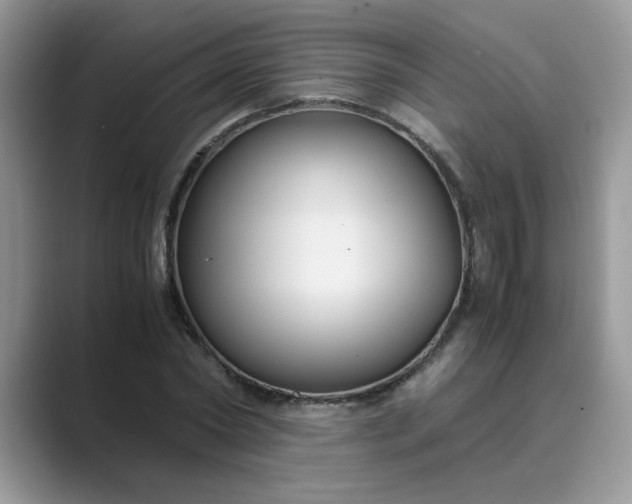 X0000089670782200707051547