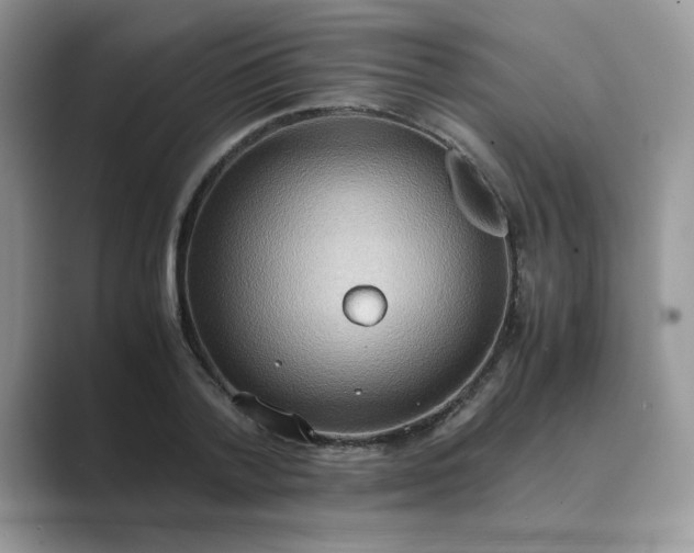 X0000089670788200707051547