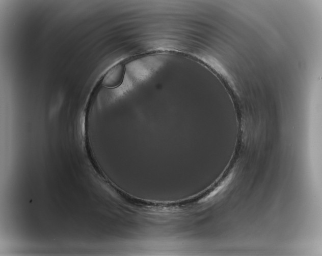 X0000089670790200707051547