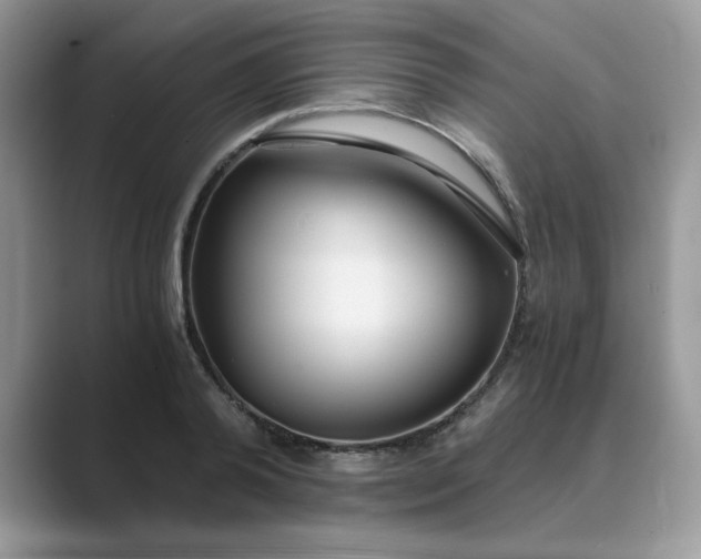 X0000089670792200707051547