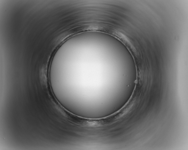 X0000089670794200707051547