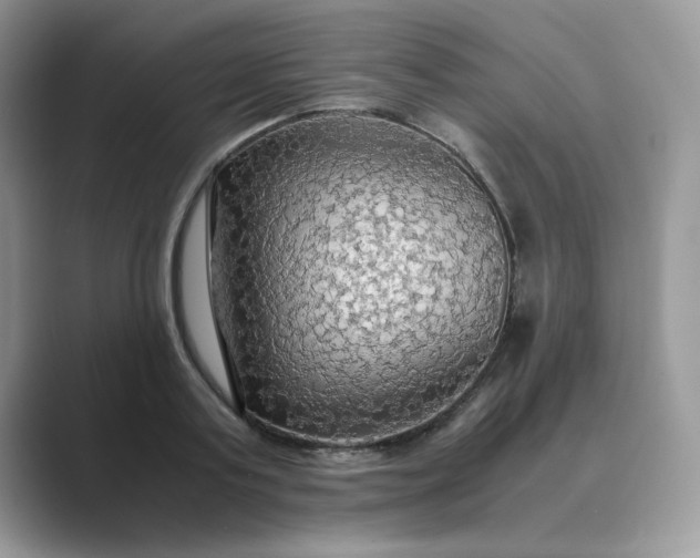 X0000089670795200707051547