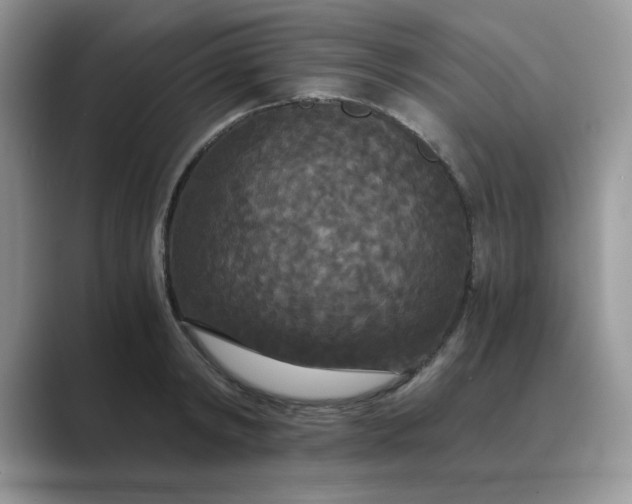 X0000089670798200707051547
