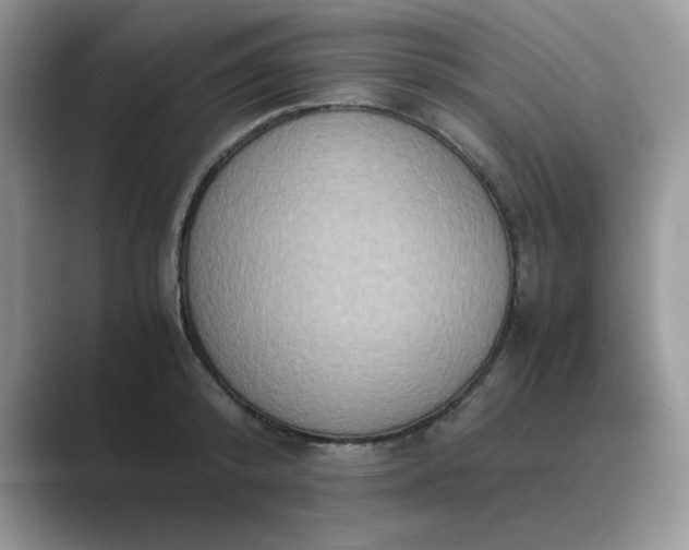 X0000089670800200707051547