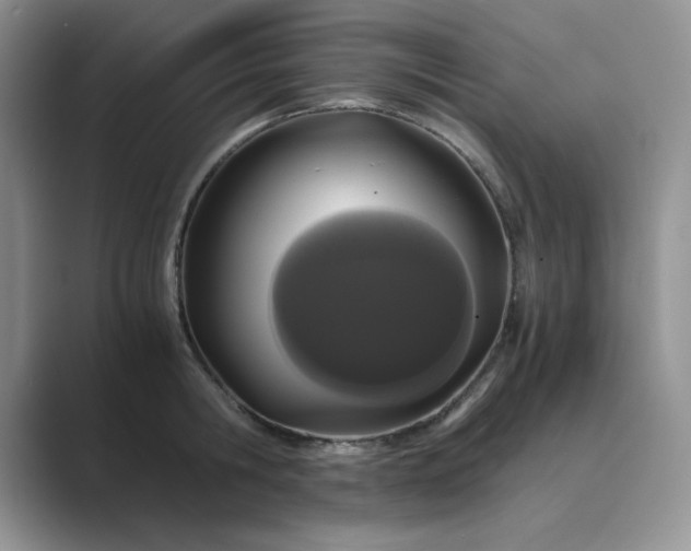 X0000089670806200707051547