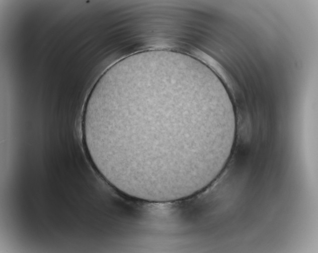 X0000089670810200707051547