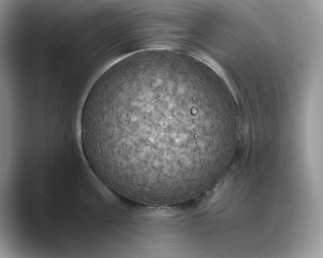 X0000089670811200707051547
