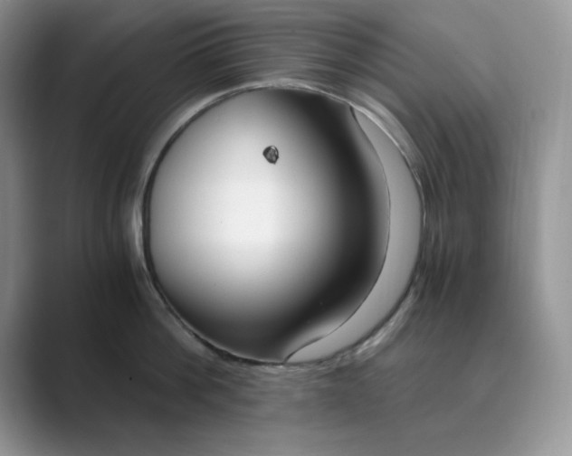 X0000089670812200707051547