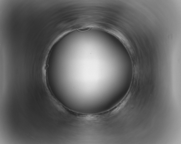 X0000089670814200707051547