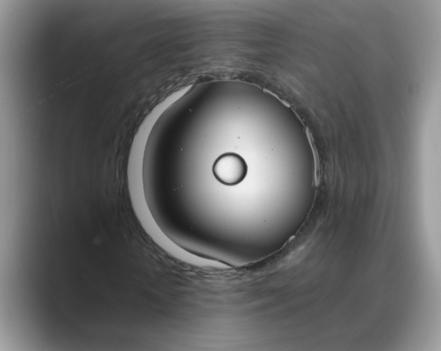 X0000089670818200707051546