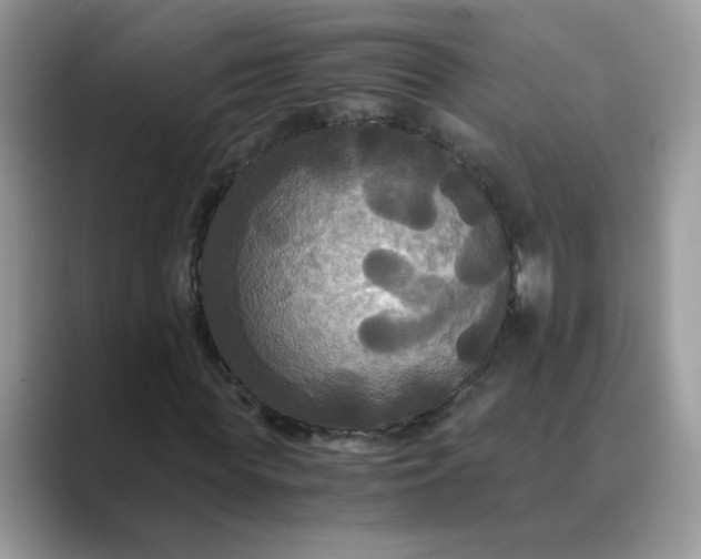 X0000089670819200707051546