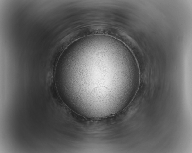 X0000089670821200707051546