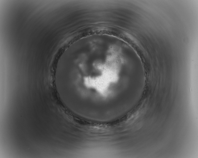 X0000089670823200707051546