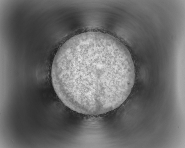 X0000089670824200707051546