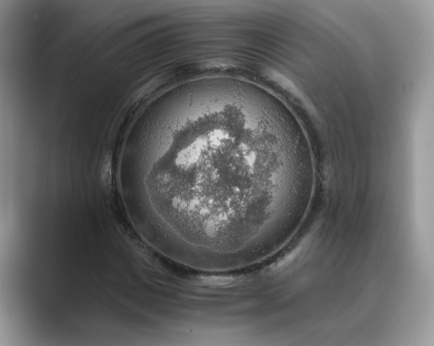 X0000089670825200707051546