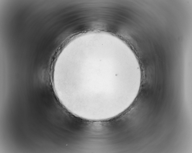 X0000089670828200707051546