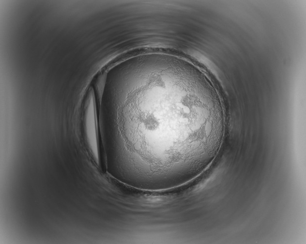 X0000089670829200707051546