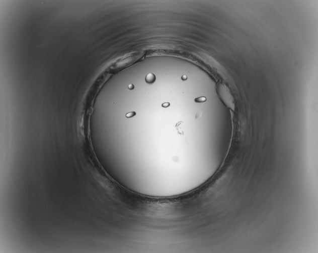 X0000089670830200707051546