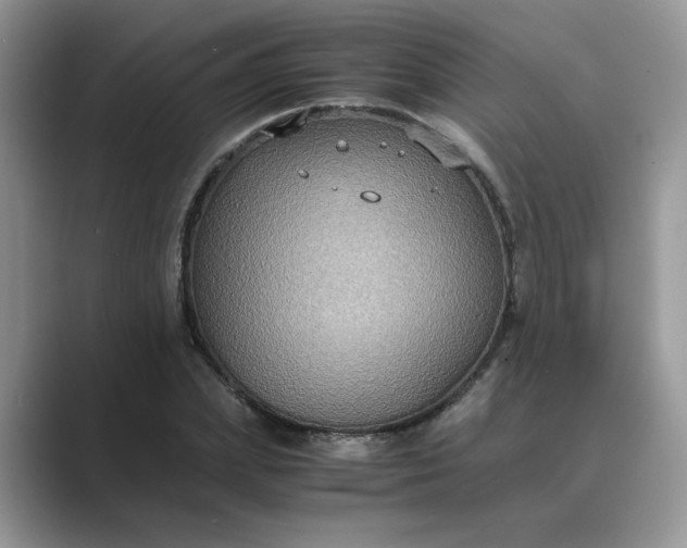 X0000089670831200707051547