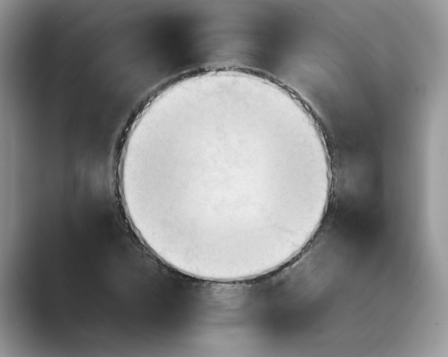 X0000089670832200707051547