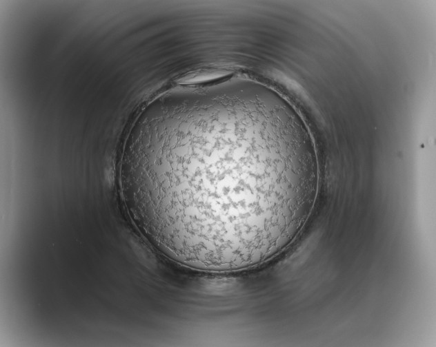 X0000089670833200707051547