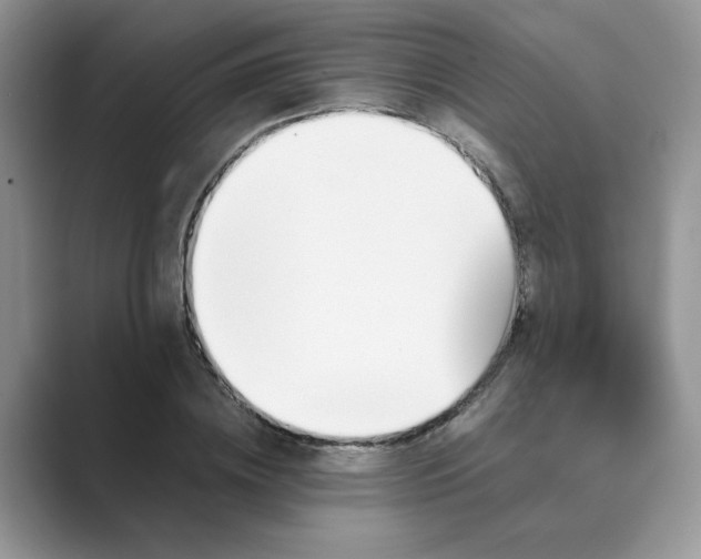 X0000089670836200707051547