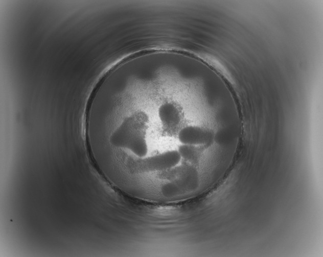 X0000089670839200707051547