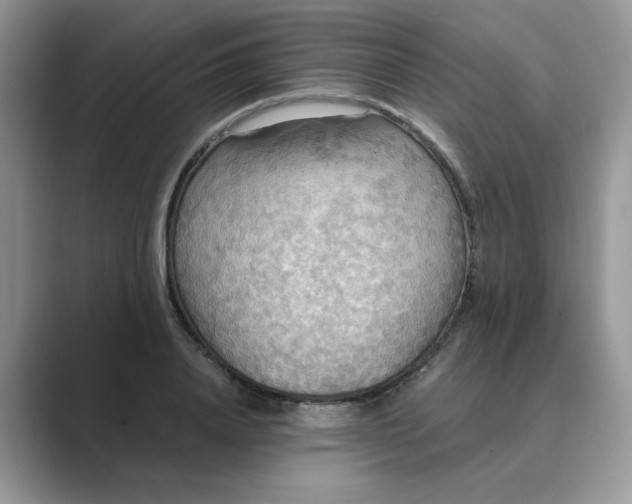 X0000089670840200707051547
