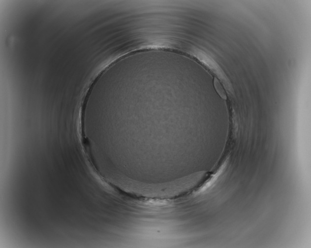 X0000089670842200707051547