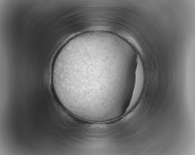 X0000089670844200707051547
