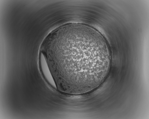 X0000089670845200707051547